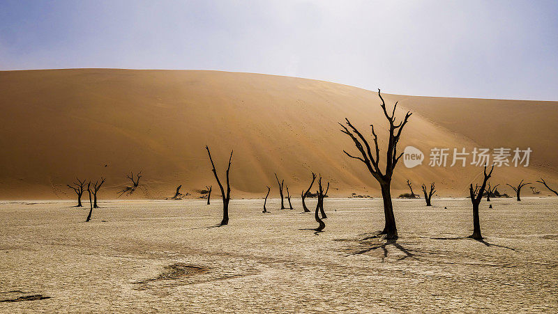 Sossusvlei和Deadvlei -世界上最高的沙丘namib Naukluft, Sossusvlei /纳米比亚